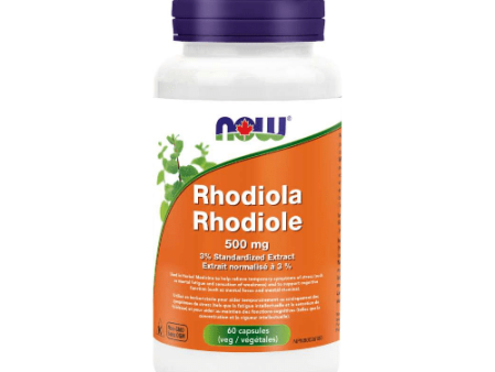 Now - rhodiola  500mg - 60 vcaps Online