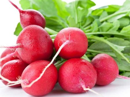 Cherry Belle Radish Vegetable Seed Online Sale