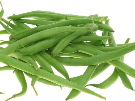 Provider Bush Bean Vegetable Seed For Cheap