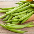 Blue Lake Pole Bean Vegetable Seed Discount