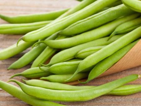 Blue Lake Pole Bean Vegetable Seed Discount