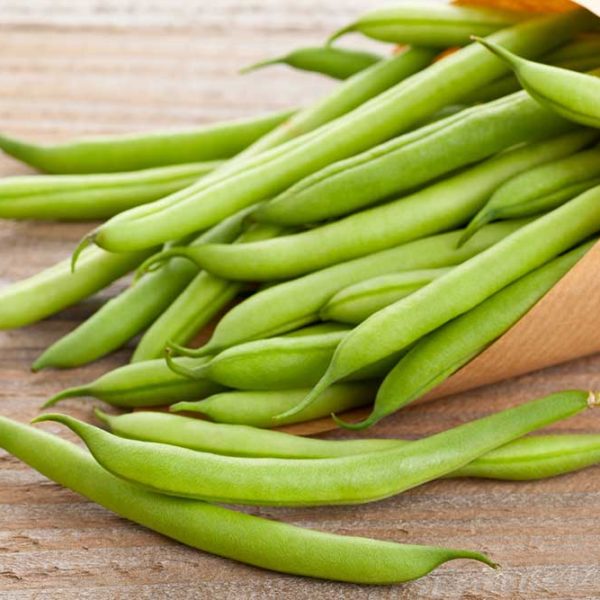 Blue Lake Pole Bean Vegetable Seed Discount