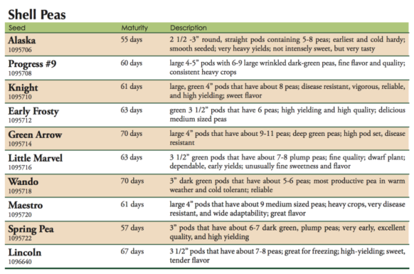 Oregon Sugar Pod Snow Pea Vegetable Seed Sale