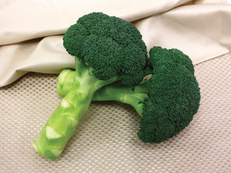 Green Magic Hybrid Broccoli Vegetable Seed Online