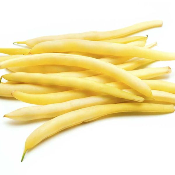 Pencil Pod Waxed Bush Bean Vegetable Seed Cheap