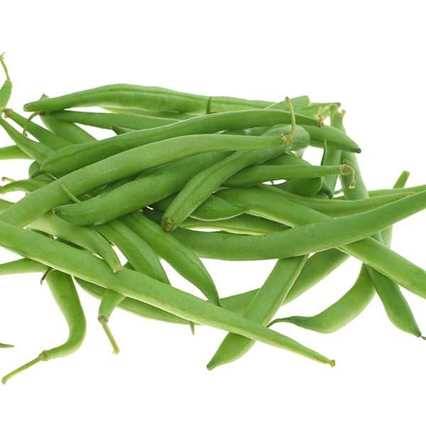 Improved Tendergreen Bush Bean Vegetable Seed For Cheap