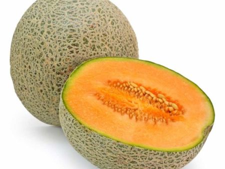 Burpee Hybrid Cantaloupe Vegetable Seed Sale