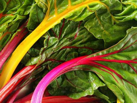 Ruby Red Swiss Chard Vegetable Seed Sale