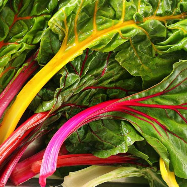 Ruby Red Swiss Chard Vegetable Seed Sale