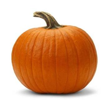 Baby Pam Pumpkin Seed Online Sale