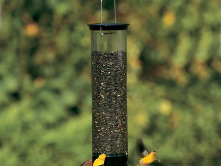 Droll Yankee Tipper Bird Feeder Discount