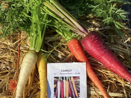 Rainbow Blend Carrot Vegetable Seed Online Hot Sale