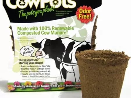 Cowpots Plantable Pots Online now