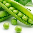 Sugar Sprint Pea Vegetable Seed on Sale