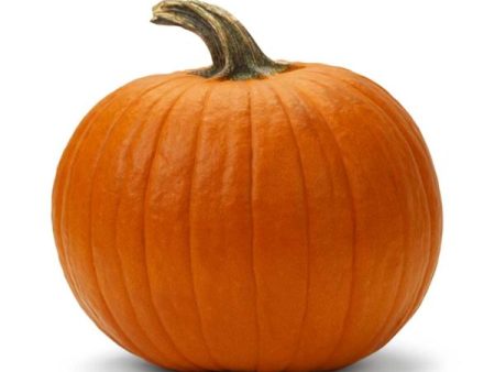 Magic Lantern Pumpkin Vegetable Seed Sale