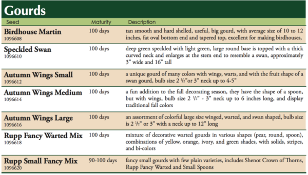 Shenot Crown of Thorns Gourd Seed Discount