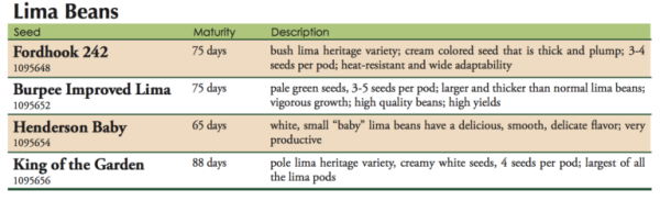 Henderson Baby Lima Bean Vegetable Seed For Sale