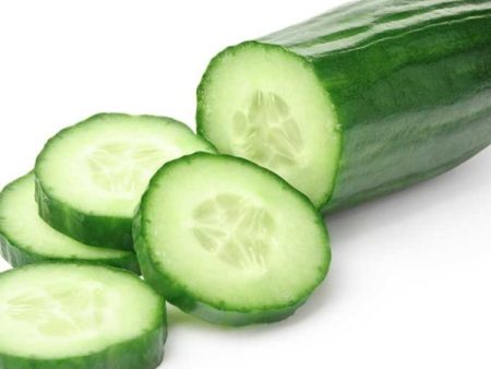 Burpless #26 Cucumber Vegetable Seed on Sale