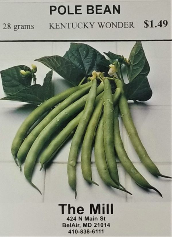 Kentucky Wonder Pole Bean Vegetable Seed Fashion