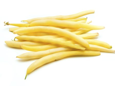 Gold Mine Waxed Bush Bean Vegetable Seed Supply