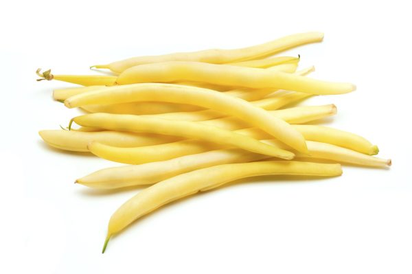 Gold Mine Waxed Bush Bean Vegetable Seed Supply