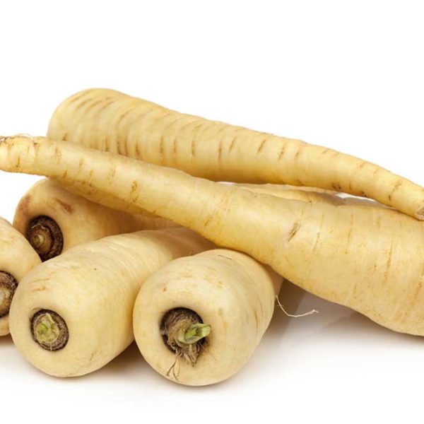 Hollow Crown Parsnip Vegetable Seed Supply