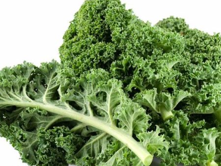 Lacinato Kale Vegetable Seed on Sale