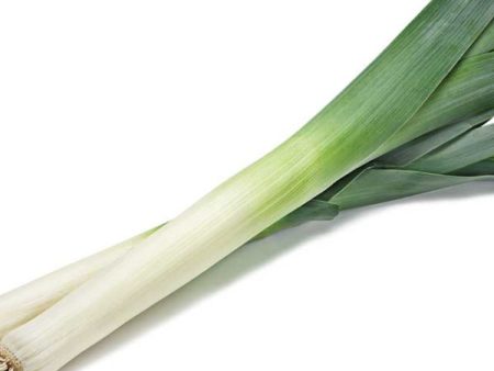 American Flag Leek Vegetable Seed Online Hot Sale