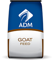 Meat Goat Power 16% with Deccox Goat Feed Supply