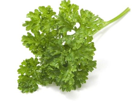 Moss Curled Parsley Vegetable Seed Hot on Sale