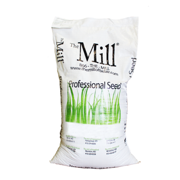 Annual Ryegrass Seed on Sale