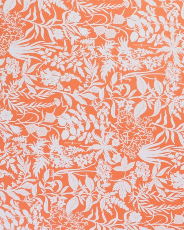 Botanic garden · sunset orange Cheap