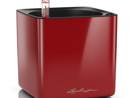 Lechuza Cube Glossy 16 Scarlet Red High Gloss Square Planter, 7 x7  Fashion