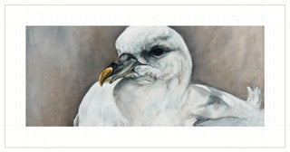 Seagull Artwork Hot on Sale