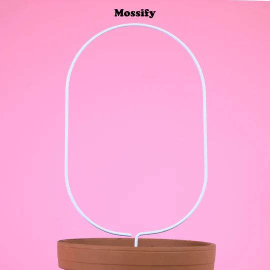 Mossify Heart Oval Metal Trellis - White Online now