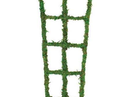 Syndicate Moss Trellis 18  Online Sale