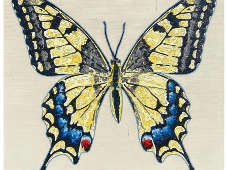 Butterfly Artwork, Swallowtail Cheap