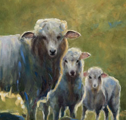 Cropped 3 Sheep Artwork For Sale